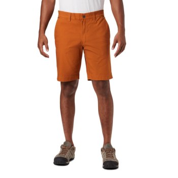 Columbia Flex ROC, Pantalones Cortos Marrom Para Hombre | 786140-LUR